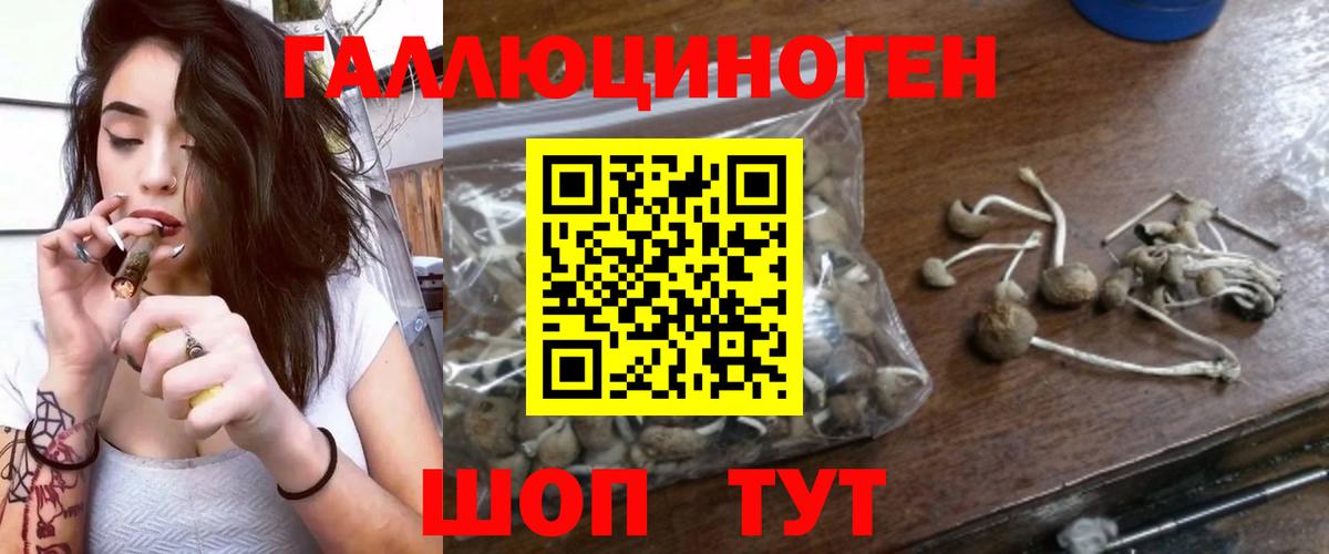 Галлюциногенные грибы мицелий  как найти   Кушва  Вход с VPN  Псилоцибиновые грибы мухоморы 