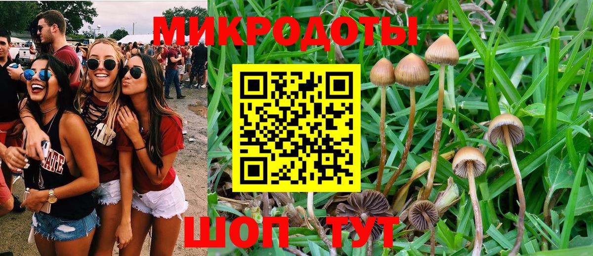 Галлюциногенные грибы MAGIC MUSHROOMS Кушва
